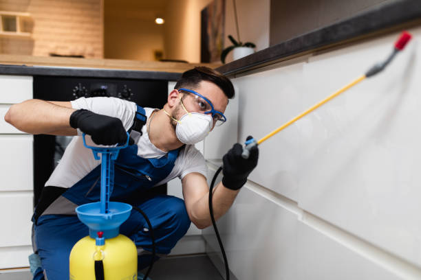 Best Pest Removal Services  in Little Silver, NJ