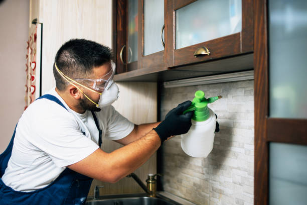Flea Control Services in Little Silver, NJ