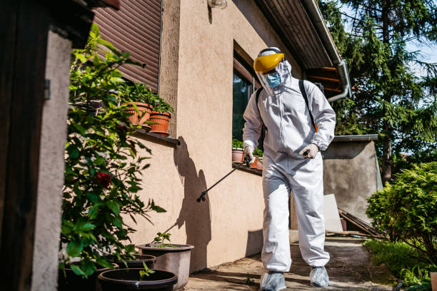 Best Affordable Pest Control Services  in Little Silver, NJ