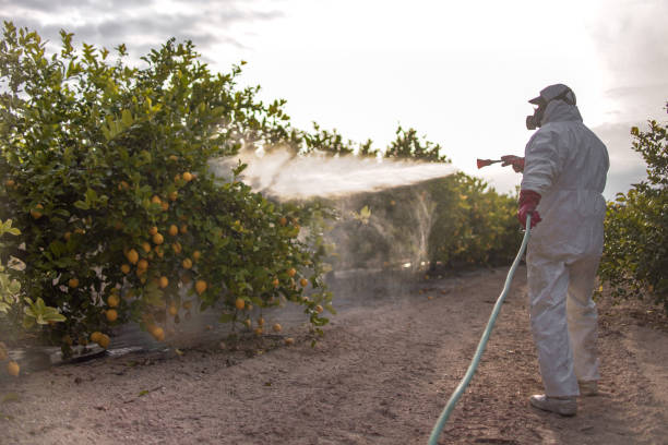 Pest Prevention Services in Little Silver, NJ