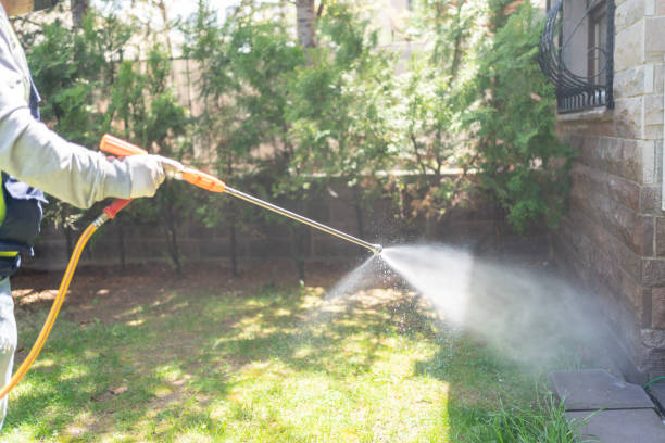Best Pest Control Near Me in Little Silver, NJ