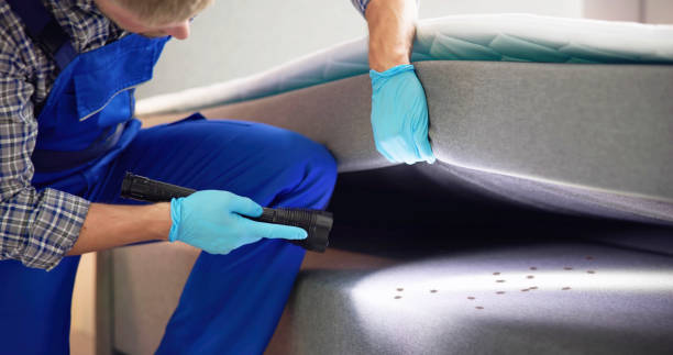 Best Pest Control Near Me  in Little Silver, NJ