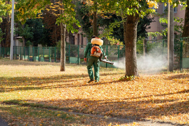 Best Insect Control  in Little Silver, NJ