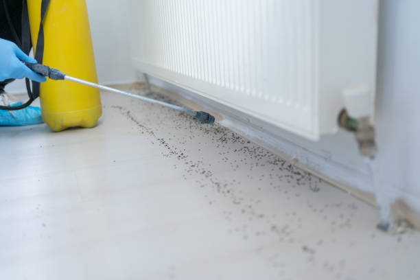 Wildlife Control Services in Little Silver, NJ